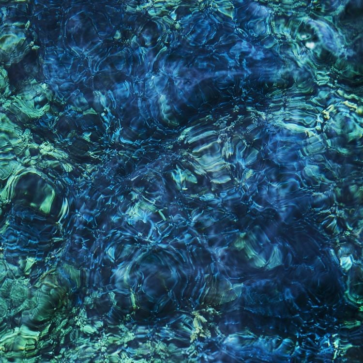 Luminescent Creatures：纯粹的自然